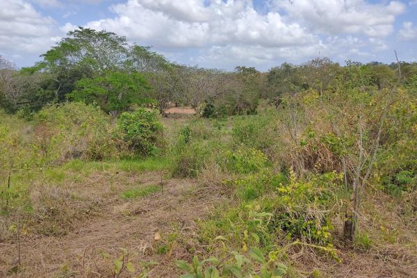 Real estate development in la mitra, chorrera