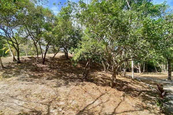 Finca de 4.3 hectareas – proyecto ideal comunidad
