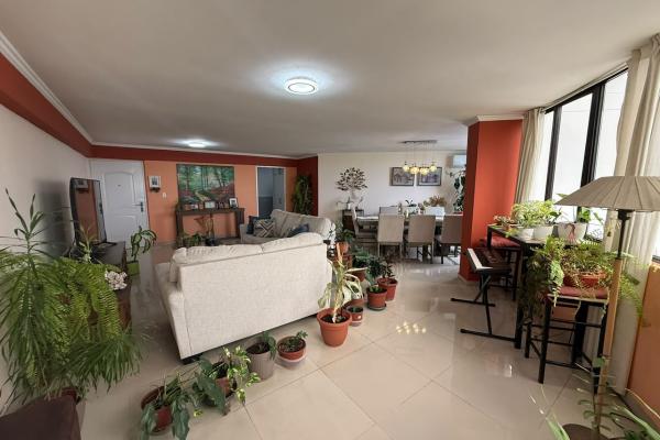 Alquiler de apartamento en ph rocamar