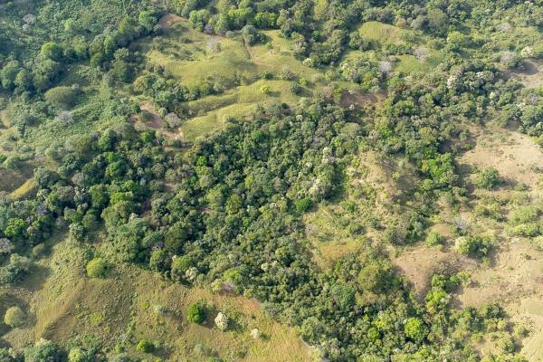 Cambutal lush property for sale near town