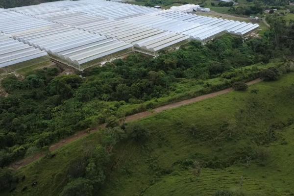 Finca con tierra negra, pasto, clima fresco y bien ubicada.