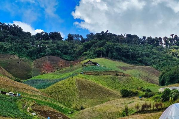 Finca agrícola en venta – cerro punta, chiriquí