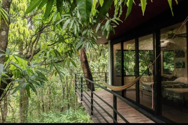 Beautiful modern jungle home for sale in morrillo