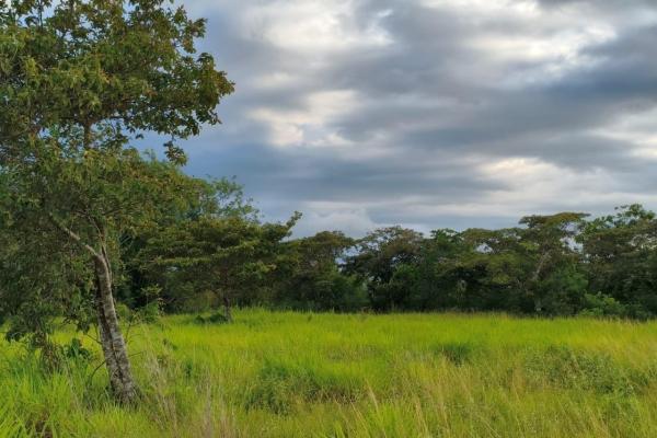 Se vende lote de terreno de 2.5 hectáres en el retiro, antón, coclé