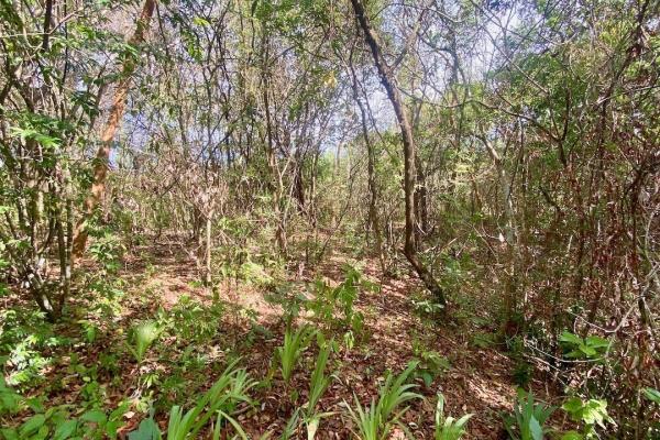 4.3 hectares finca – ideal community project