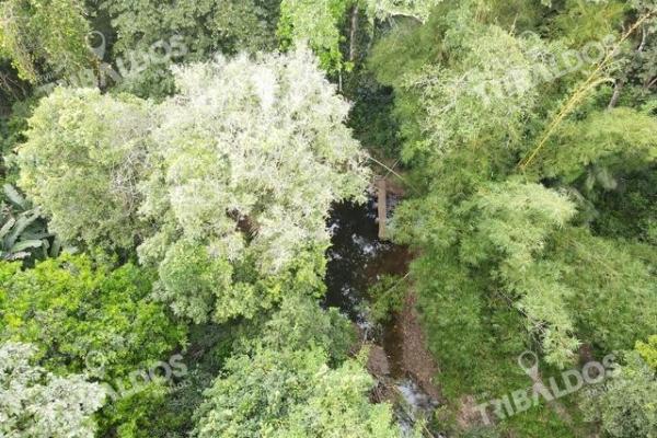 Finca en nuevo san juan , colón , 250 ha