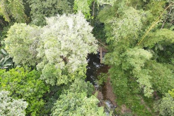 Finca en nuevo san juan , colón , 250 ha