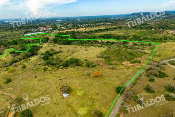 Land for sale in david, chiriquí