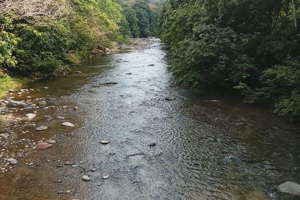 Sale of land 116 acres in san miguel, pacora river