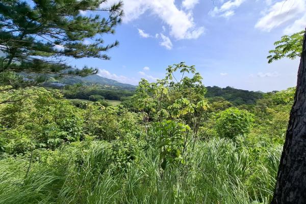 Chame/bejuco land for sale