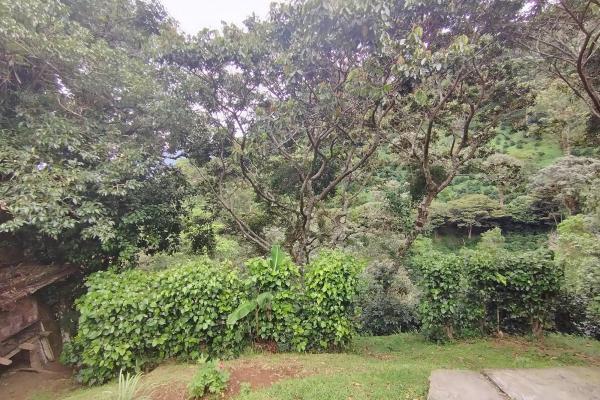 Award winner coffee farm
