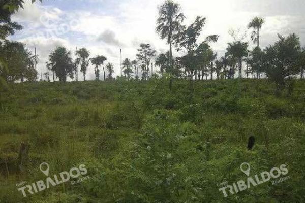 Finca en la raya de calobre, veraguas