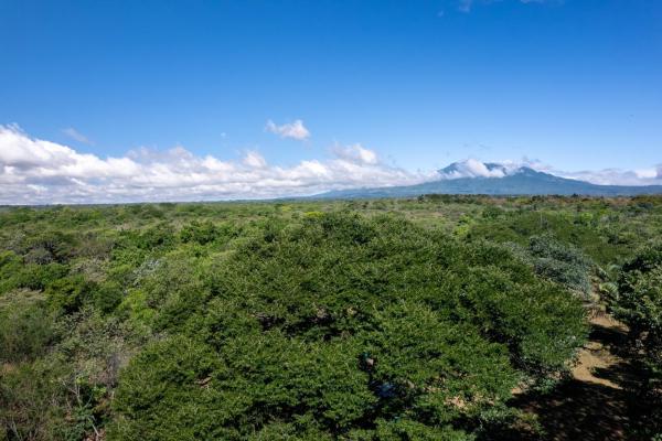15 hectares fertile land potrerillos, chiriqui