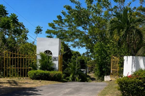 Venta terrenos el espino san carlos