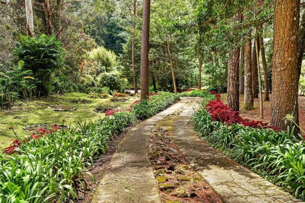 Finca frente al río bambito en venta | volcán panamá