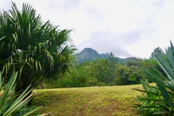Casita de montaña y gran terreno