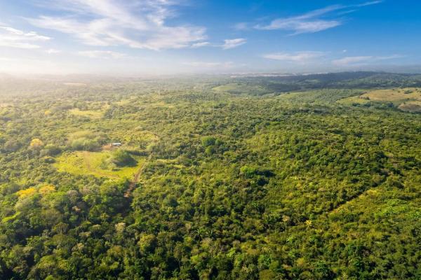 Terreno de 9,4 hectáreas en venta en arraijan central