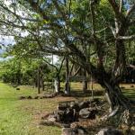 Potrerillos panama land opportunity