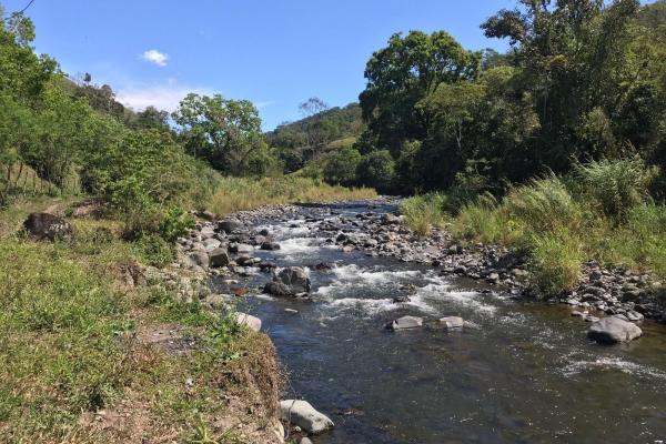 Expansive 146.652 ha property with water sources
