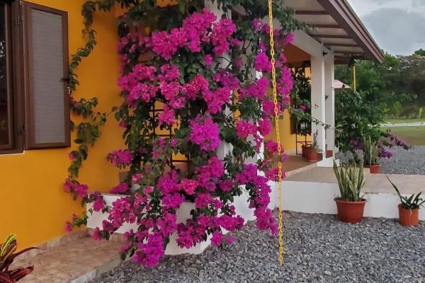 Furnished home for sale in dolega with gardens