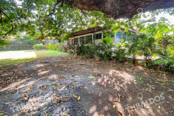 Terreno de 1,556m² en altos del golf con casa colonial para restaurar