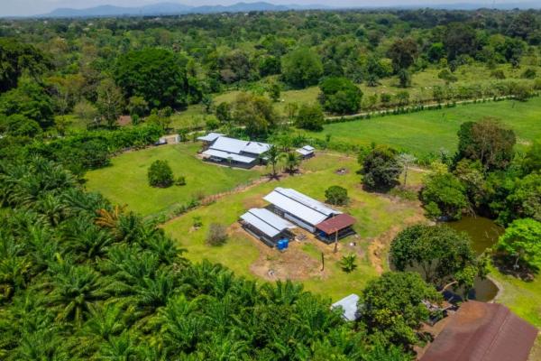 House for sale in bugaba chiriqui