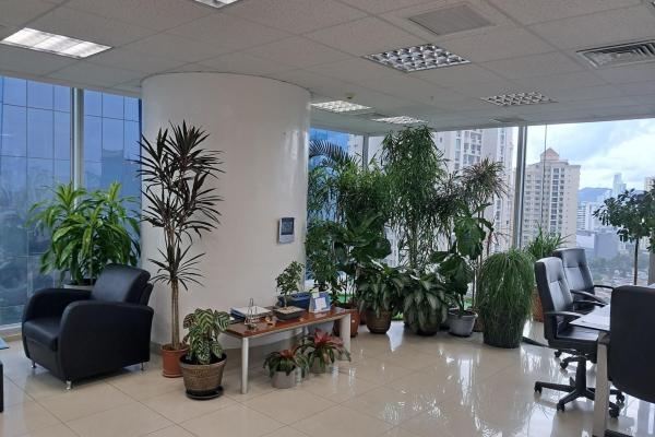 Great opportunity office for sale in punta pacífic