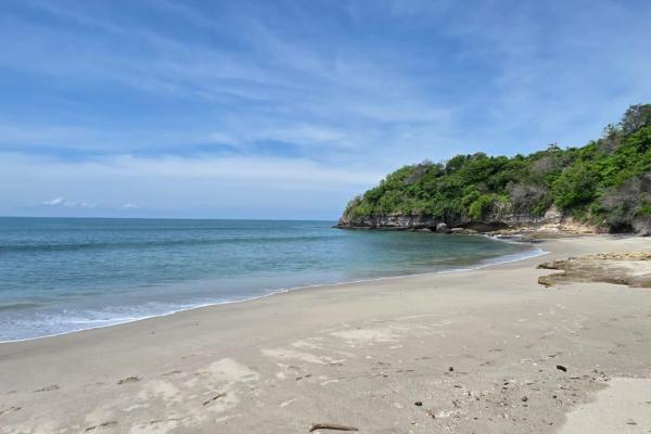 Terreno urbanizable frente al mar en venta | el palmar