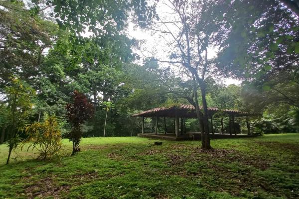 Cambutal lush property for sale near town