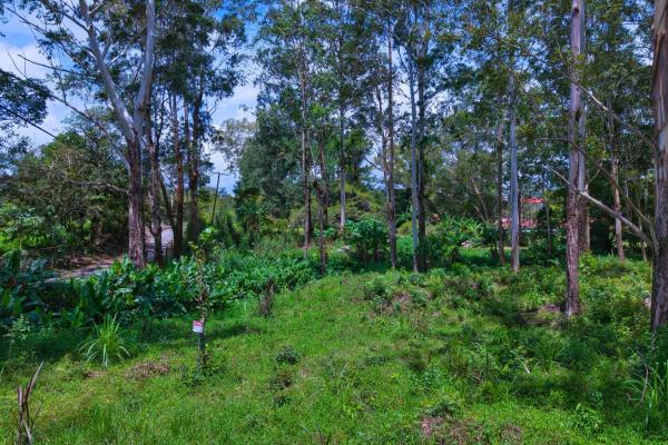 Land with a natural creek