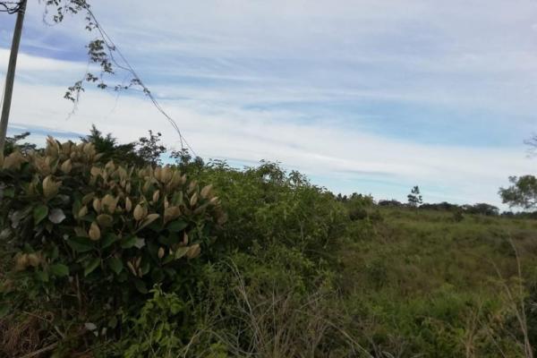 Amplios 5 hectáreas en venta en alto boquete