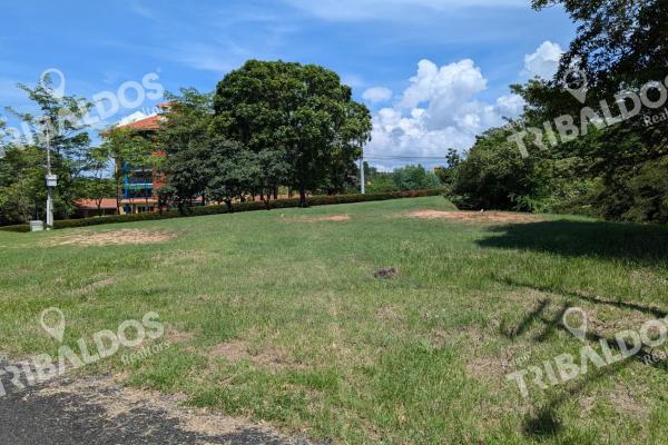 Flat land for sale in punta barco resort