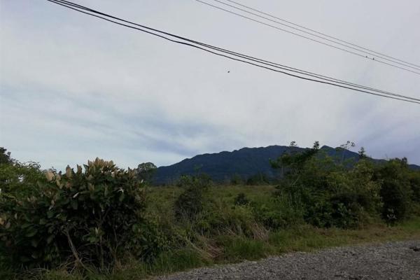 Amplios 5 hectáreas en venta en alto boquete