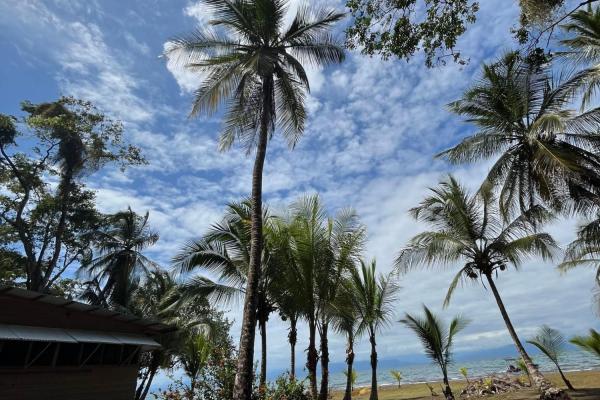Casa frente al mar fuera de la red en venta