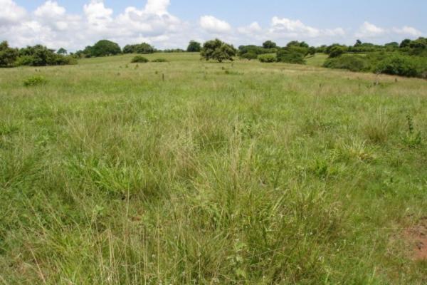 Incredible beachfront farm for sale