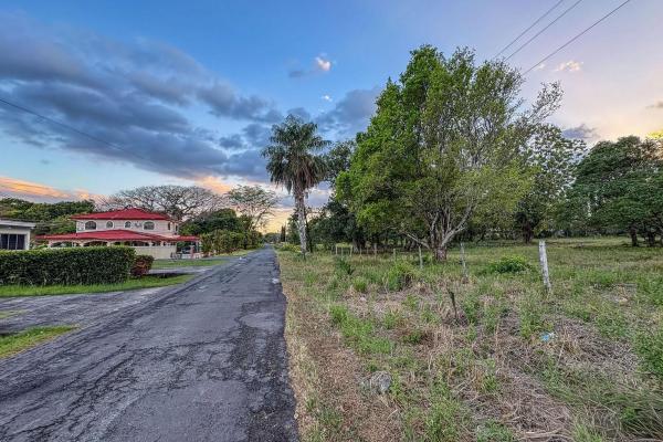 Terreno residencial en venta en la perla, david