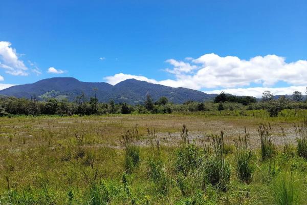 Flat road-front lot for sale in volcan