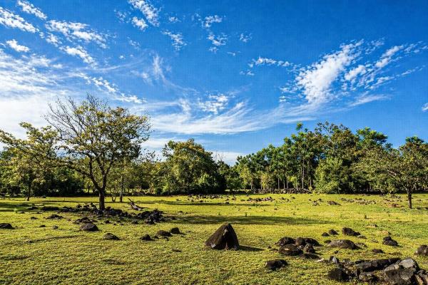 Potrerillos panamá terreno de inversión