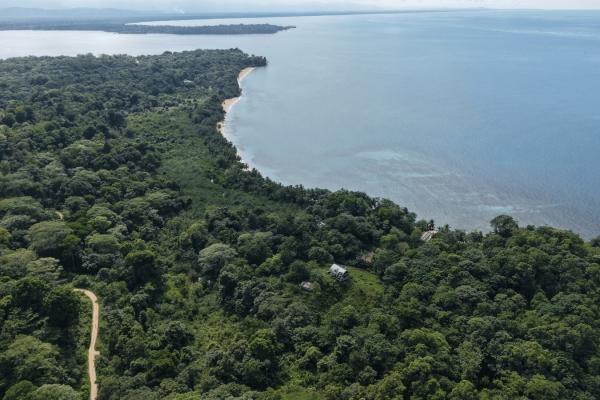 Propiedad boscosa frente al mar de 2,4 hectáreas en drago