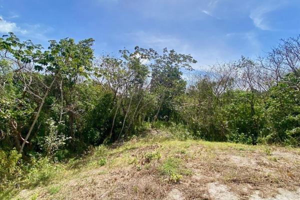 Finca de 4.3 hectareas – proyecto ideal comunidad