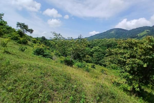 Sale of land 116 acres in san miguel, pacora river