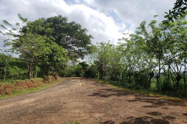 Land for sale in colon, buena vista, el giral