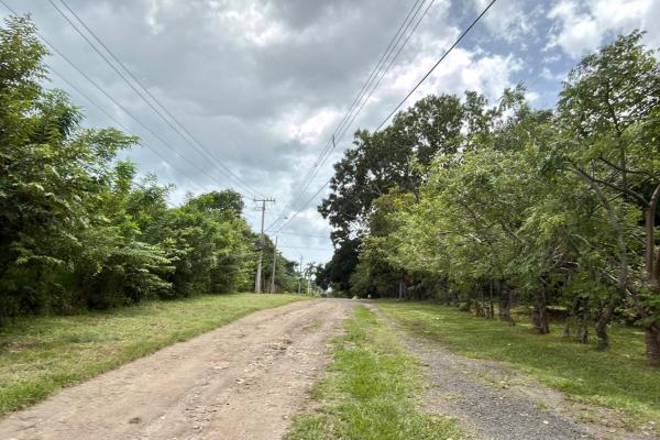 Land for sale 1 in gorgona