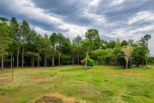 Se vende terreno de 1.9 hectáreas en potrerillos arriba
