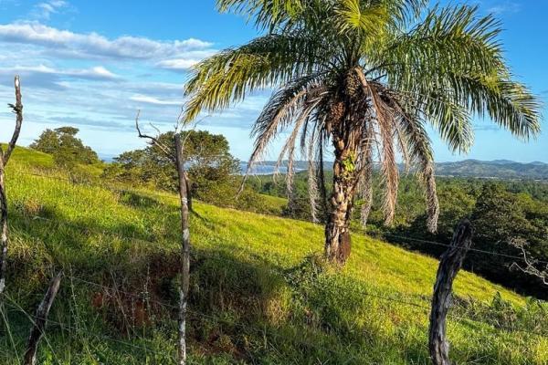 67-hectare oceanfront sanctuary in arena, veraguas