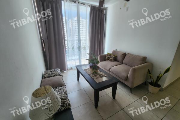 Venta de apartamento en ph alai, vía españa