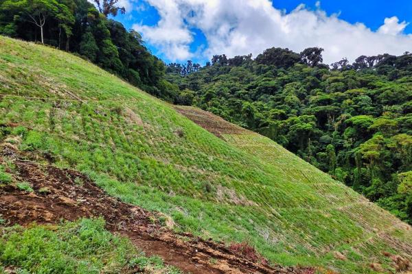 Finca agrícola en venta – cerro punta, chiriquí