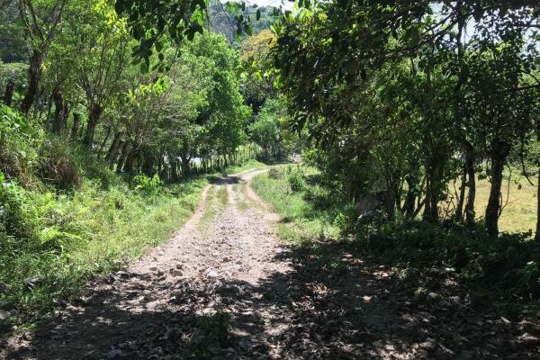 Expansive 146.652 ha property with water sources
