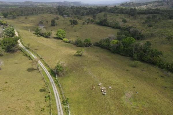Finca en nuevo san juan , colón , 250 ha