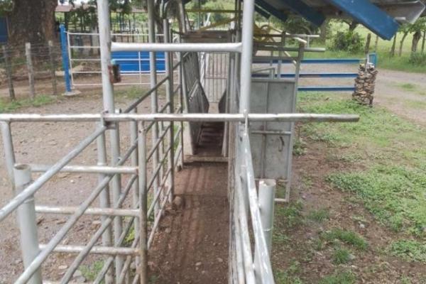Fincas ganaderas en chame